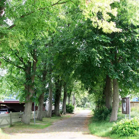 Holiday Boddenruhe By Interhome